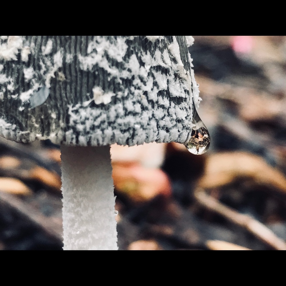 Meet your Posher, Mm